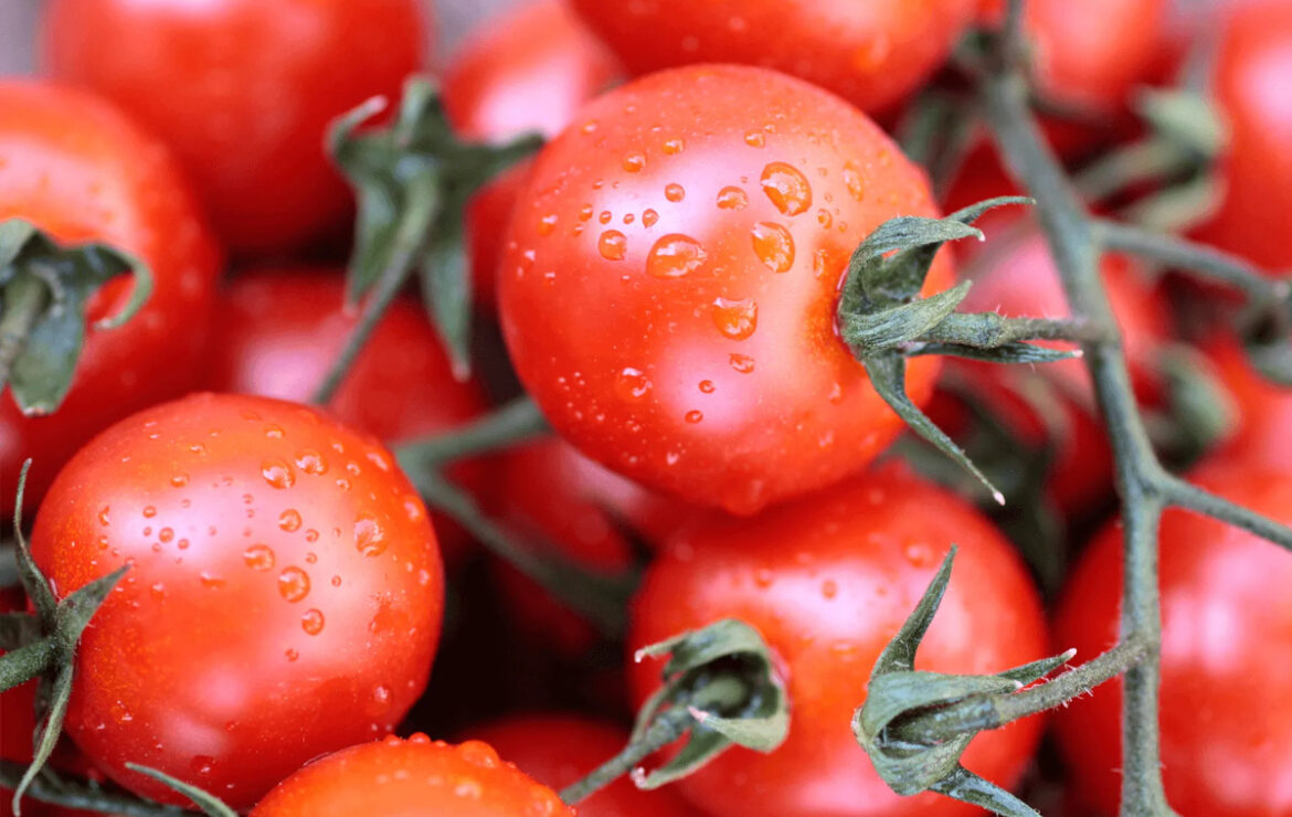 Pomodori