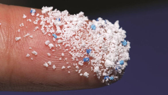 Le Microplastiche