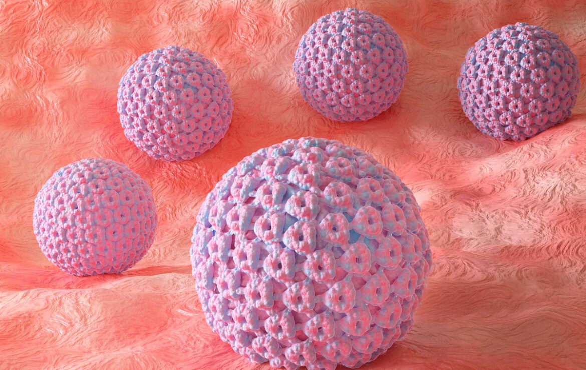 Papilloma virus (HPV)