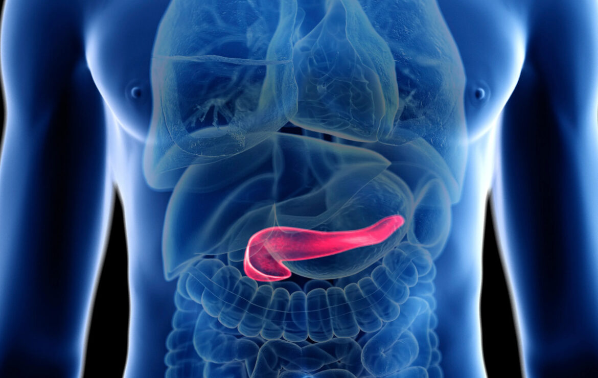 Nanoplastiche dannose per le ossa