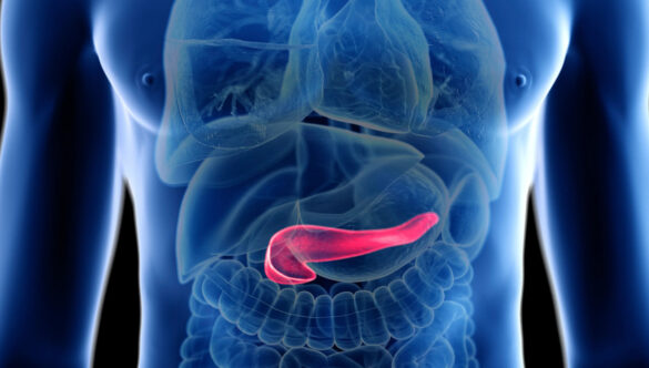 Nanoplastiche dannose per le ossa