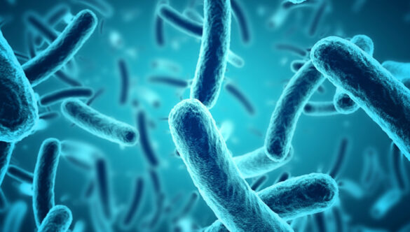 Helicobacter Pylori