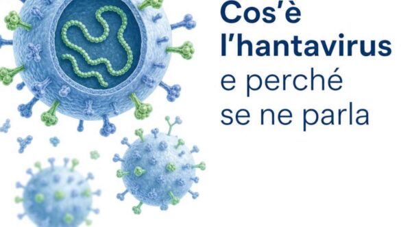 Cos’è l’hantavirus e perché se ne parla