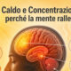 Caldo e concentrazione: perché la mente rallenta